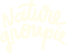 Nature Groupie Shop